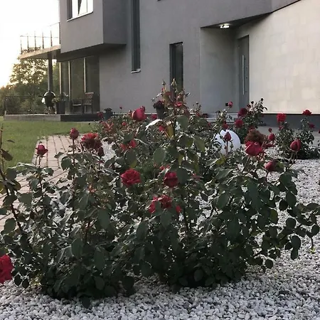 منزل للإقامة Danneberg