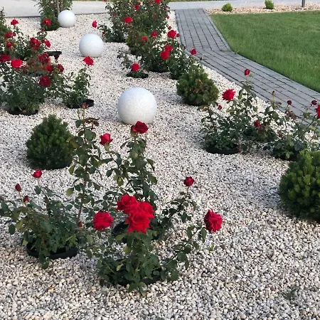 منزل للإقامة Danneberg